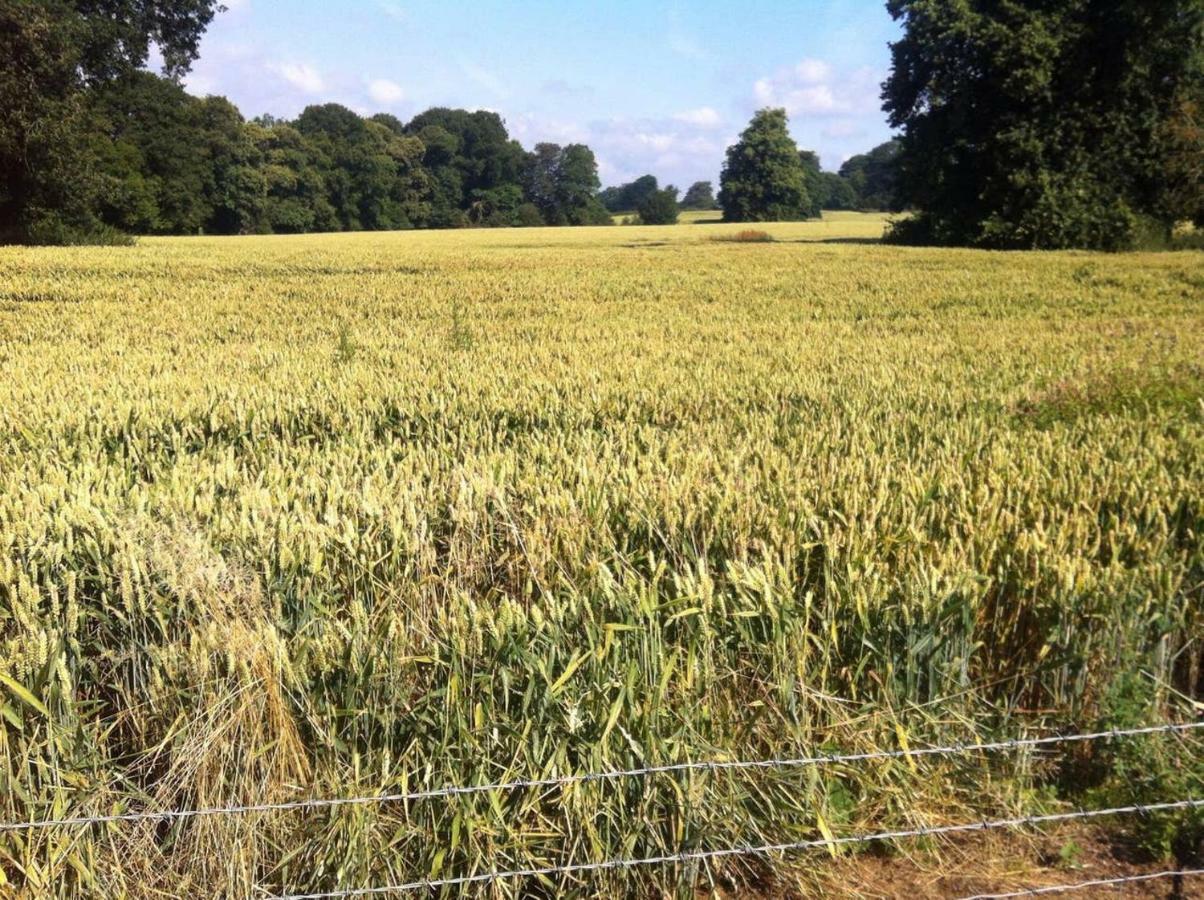 2 Bedroom Furnished Apartment In A Rural Position Stone (Staffordshire) Exterior foto